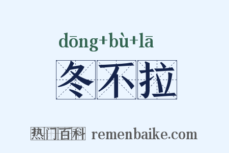 冬不拉是什么意思的图片